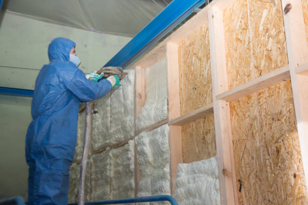 Best Affordable Insulation Services  in Bement, IL