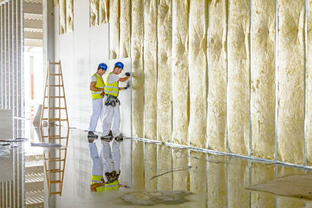 Best Insulation Removal  in Bement, IL